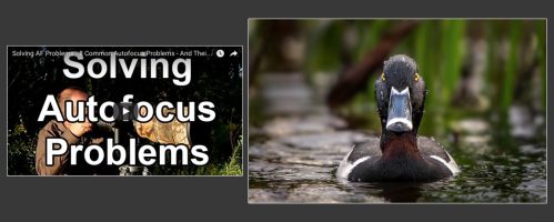 Solving Autofocus Problems – 8 Common AF Problems And Solutions