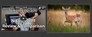 Nikon 200-500 vs 300PF Review And Comparison