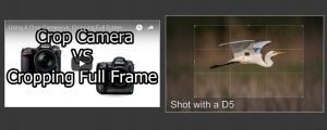Cropping Full Frame Vs Shooting A Crop Camera
