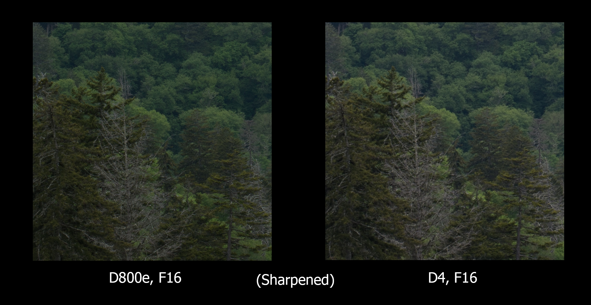 Same as above, only with equal sharpening added for both images