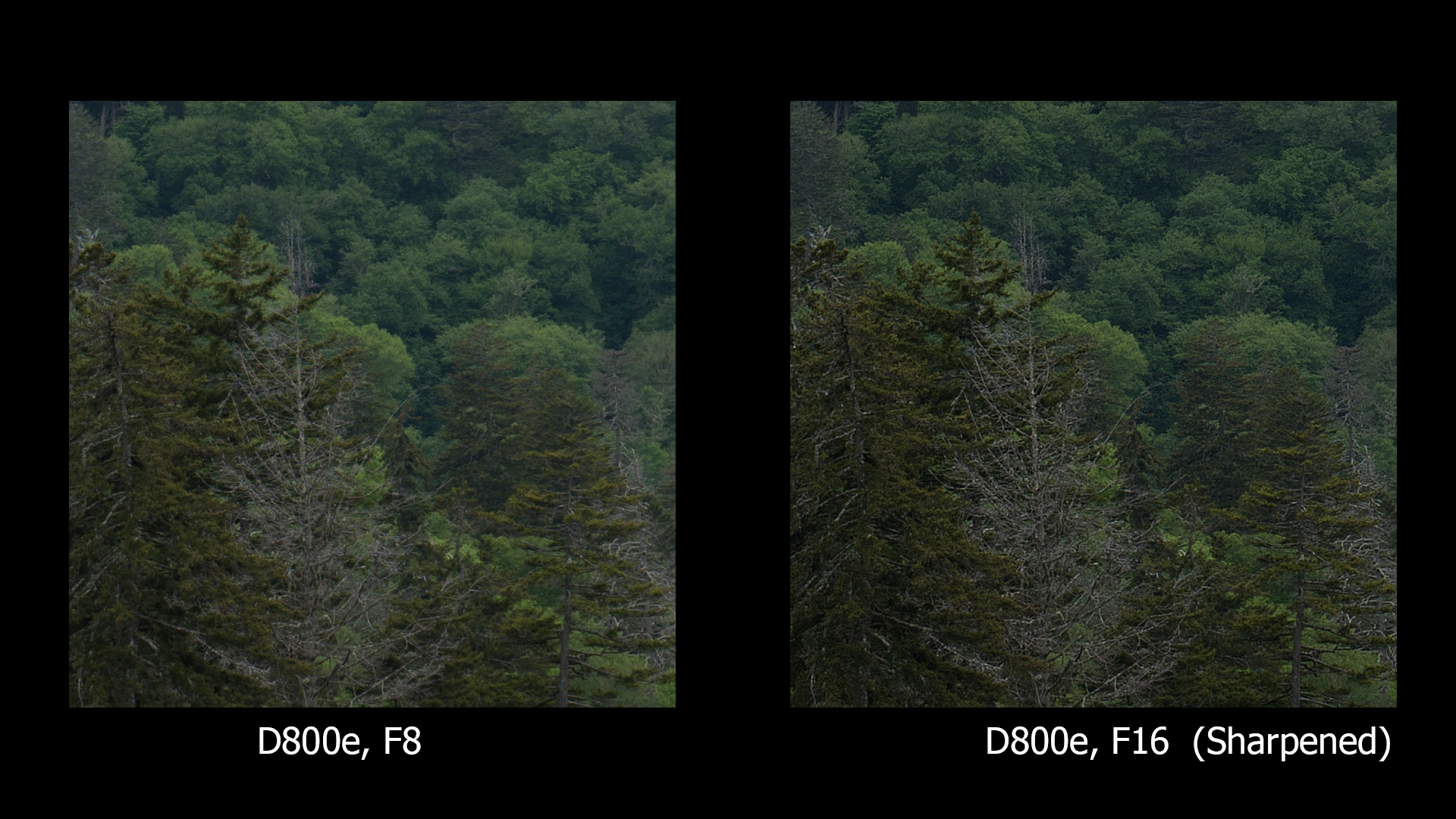 D800e, F8 and F16, ONLY F16 sharpened