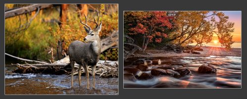 Fall Photography Basics