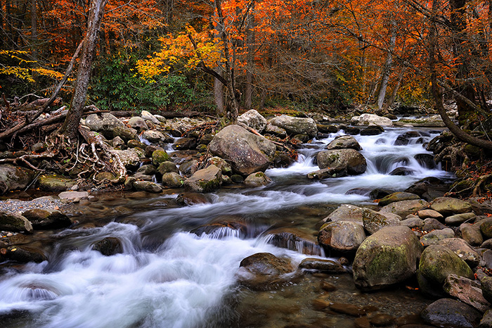 Smoky Mountain stream in autumn with colorful trees