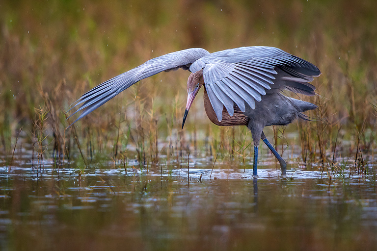 using a teleconverter