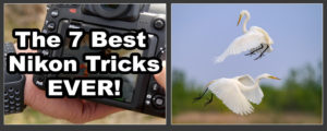 The 7 Best Nikon Tricks Ever!