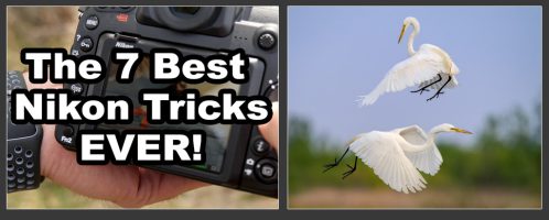 The 7 Best Nikon Tricks Ever!