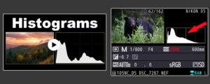 Reading And Understanding Histograms In Photography