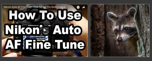 Get The Most From Nikon’s Auto AF Fine Tune System