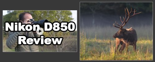 Nikon D850 Review