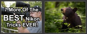 7 More Of The Best Nikon Tricks Ever