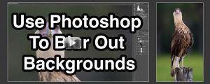 Use Photoshop To Blur Out Backgrounds