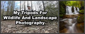 My Tripods For Wildlife And Landscape Photography