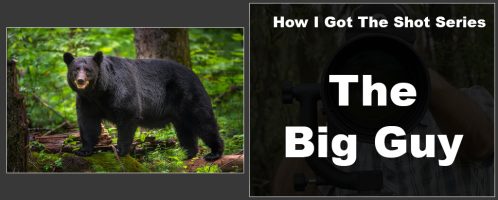 How I Got The Shot – The Big Guy