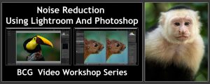 New Video Workshop – Noise Reduction Using LR & PS