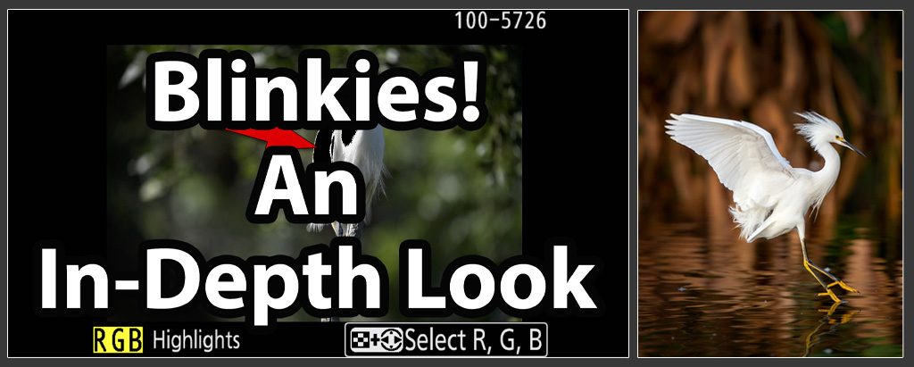 blinkies-FI-1024x411.jpg