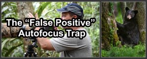 The “False Positive” Autofocus Trap