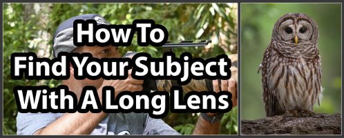 Finding Your Subject With A Long Lens