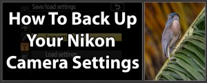 How To Back Up Nikon Camera Settings