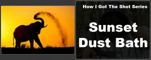 How I Got The Shot: Sunset Dust Bath