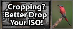 Cropping? Better Drop Your ISO!