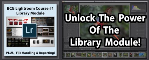 New Lightroom Course: The Library Module (Plus File Handling & Importing)