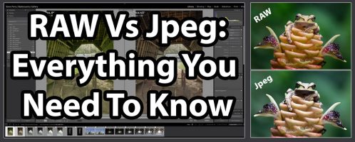 RAW Vs Jpeg: Everything You Need To Know