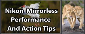 Nikon Mirrorless Performance And Action Tips