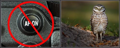 Has Mirrorless Killed Back Button AF?