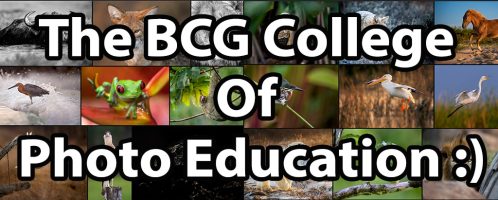 The BCG College Of Photo Education :)