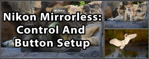 Nikon Mirrorless: Button & Control Setup