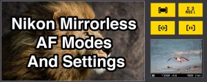 Nikon Mirrorless AF Modes And Settings