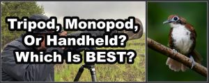 Tripod, Monopod, Or Handheld – Which Is Best?