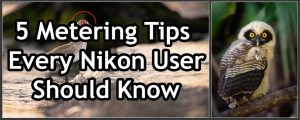 5 Metering & Exposure Tips Every Nikon User Needs To Know