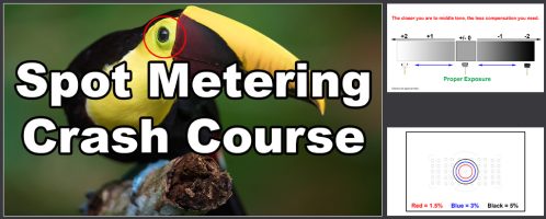 Spot Metering Crash Course