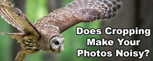 Does Cropping Make Your Photos Noisy?!