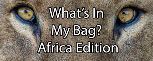 What’s In My Bag? Africa Edition