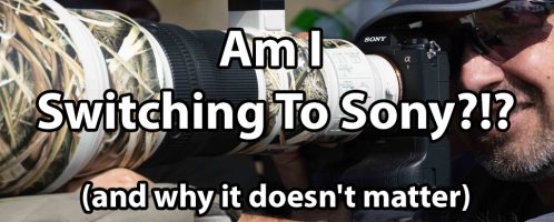 Am I Switching To Sony? (and why it doesn’t matter)