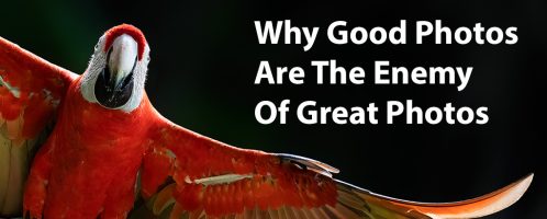 Why Good Photos Are The Enemy Of Great Photos