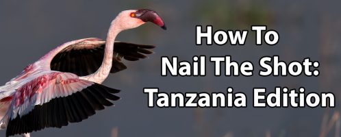 How To Nail The Shot: Tanzania Edition