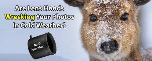 Are Lens Hoods Wrecking Your Photos In Cold Weather?