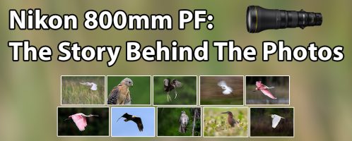 Nikon 800PF: The Story Behind The Photos