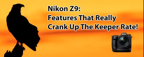 Nikon Z9: Features That Really Crank Up The Keeper Rate!