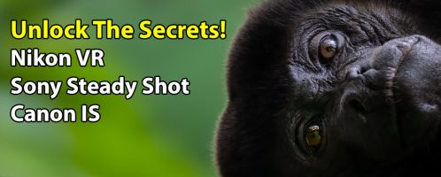 Pro Secrets For AMAZING RESULTS with Nikon VR, Sony Steady Shot, and Canon IS!