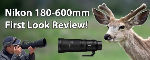 Nikon 180-600mm First Look Review