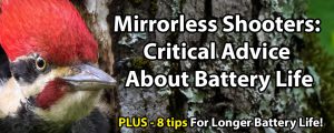 Mirrorless Shooters: Critical Advice About Battery Life