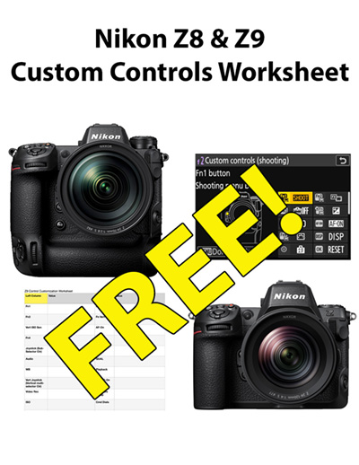 Nikon Z8 & Z9 Custom Controls Worksheet