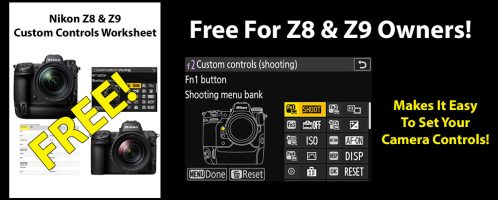 Nikon Z8 & Z9 Custom Controls Worksheet