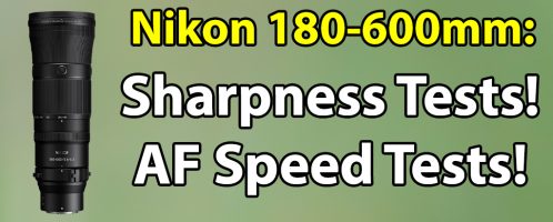 Nikon 180-600mm Sharpness & AF Speed Tests!