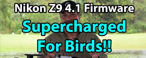 Nikon Z9 4.1 Firmware: Supercharged For Birds!