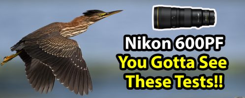 Nikon 600 PF Tests & Comparisons